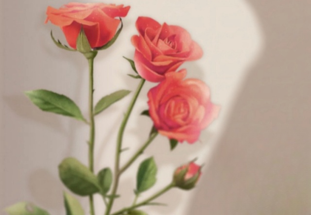 祝天下女神們節(jié)日快樂！??！